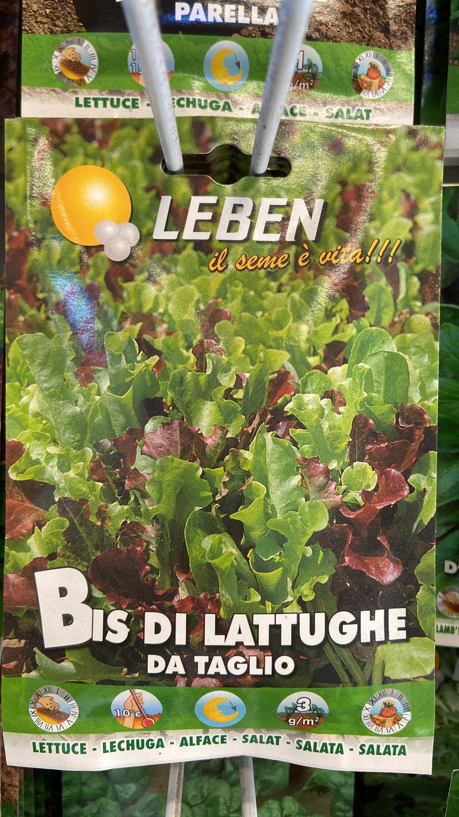 Semi Di Lattuga Da Taglio 'Bis' – Varietà Precoce Verde E Rossa, Busta Da 30g Per Orto E Giardino